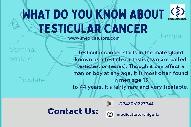 testicular cancer; cancer in men; what is testicular cancer?; how to recognize testicular cancer; preventing cancer in men; how to prevent testicular cancer; treatment of testicular cancer