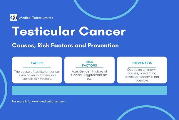 causes of testicular cancer; risk factors associated with cancer of the testis; preventing testicular cancer; cancer of the testis