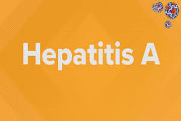 infectious hepatitis; hepatitis a; hepatitis e; hav; prevention of hepatitis a; treating hepatitis a