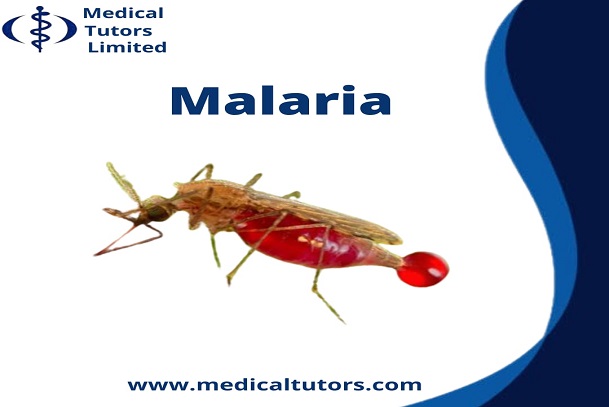 Malaria Overview; what is malaria?;  malaria in children;; severe malaria; malaria in pregnant women